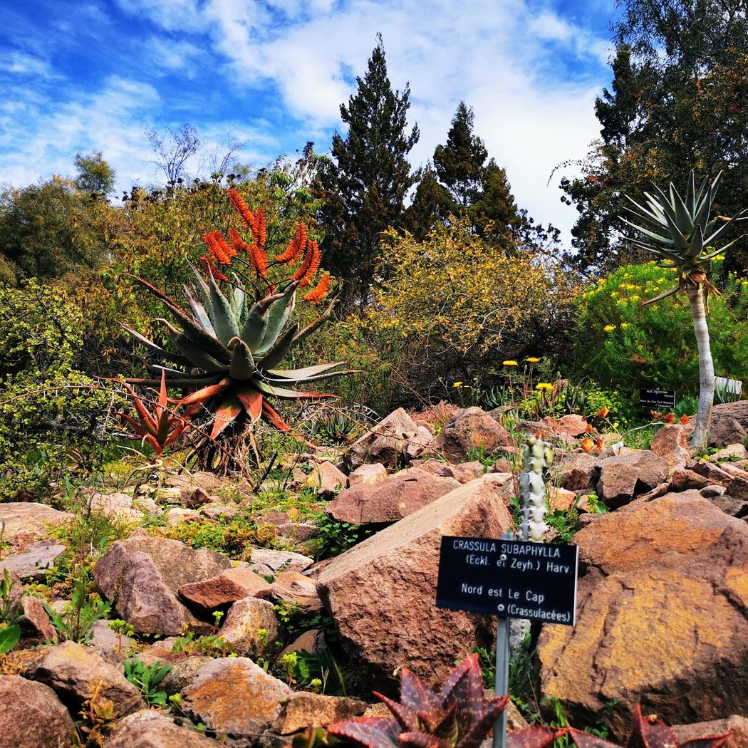Jardin botanique de Nice 1